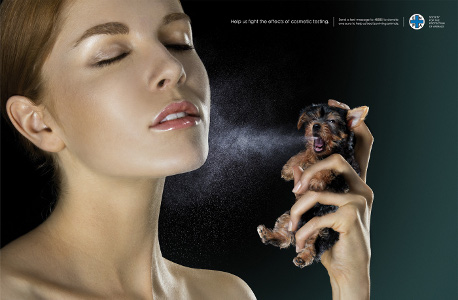 animal test2.jpg